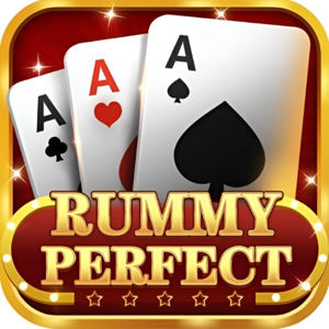 Rummy Perfect App game app logo